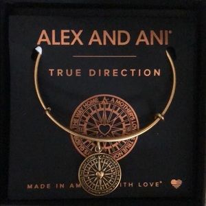 Alex and Ani Charm Bracelet